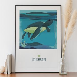Création d'illustration Tortue
