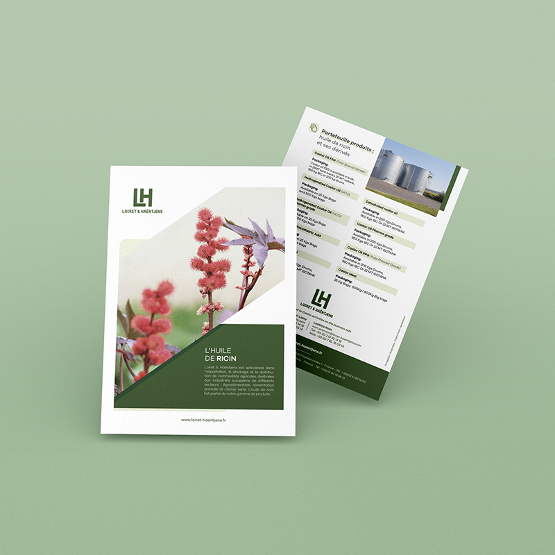 Création de plaquette commerciale Loiret Haentjens